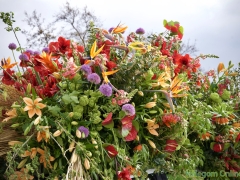 190413-Bloemencorso305