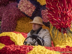 190413-Bloemencorso260