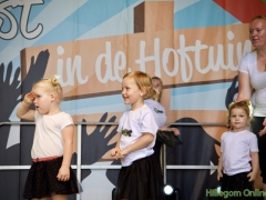 190629-Middagprogramma-Hillegoms-muziekfeest-2019-116