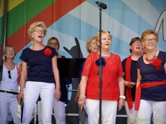 190629-Middagprogramma-Hillegoms-muziekfeest-2019-129