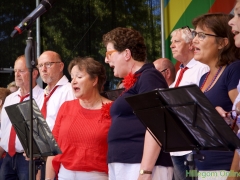 190629-Middagprogramma-Hillegoms-muziekfeest-2019-133