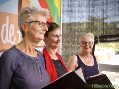 190629-Middagprogramma-Hillegoms-muziekfeest-2019-135