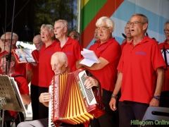 190629-Middagprogramma-Hillegoms-muziekfeest-2019-181