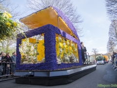 2015-Bloemencorso183