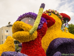 2017-Bloemencorso145