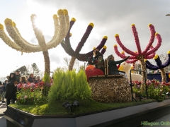 2019-Bloemencorso163