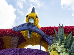 2019-Bloemencorso170