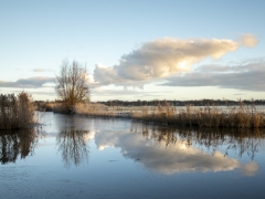 02_Corine-Zijerveld_Oosteinderlaan