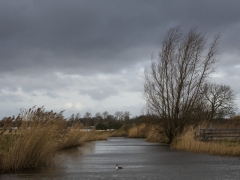 11_Corine-Zijerveld_Oosteinderlaan