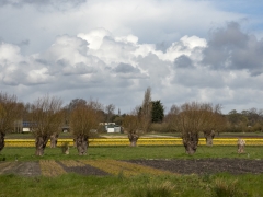 15_Corine-Zijerveld_Oosteinderlaan