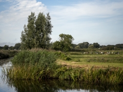 37_Corine-Zijerveld_Oosteinderlaan