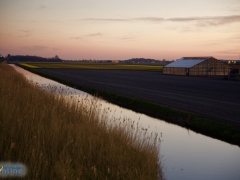 200327-bloemenvelden-zonsondergang-Tonny-2