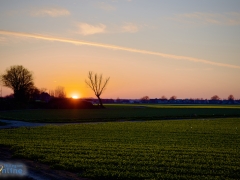 200327-bloemenvelden-zonsondergang-Tonny-3