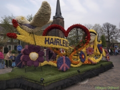 2011-Bloemencorso128