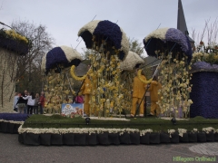 2011-Bloemencorso182