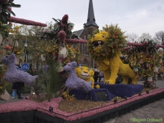 2011-Bloemencorso194