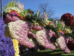 2012-Bloemencorso157