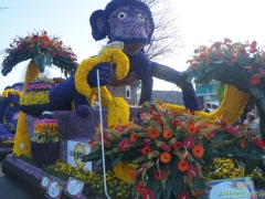 2013-bloemencorso105