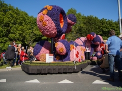 2014-Bloemencorso109