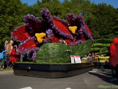 2014-Bloemencorso135