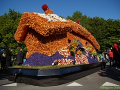 2014-Bloemencorso140