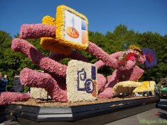 2014-Bloemencorso148