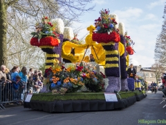 2015-Bloemencorso139