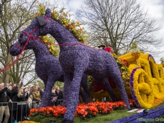 2015-Bloemencorso162