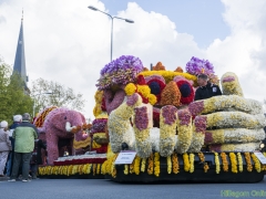 2016-Bloemencorso107