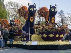 2016-Bloemencorso134