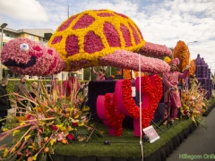 2017-Bloemencorso107