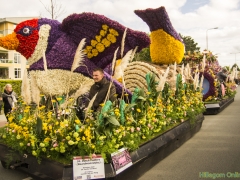 2017-Bloemencorso111