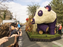 2017-Bloemencorso128