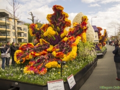 2017-Bloemencorso140