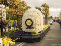 2017-Bloemencorso169