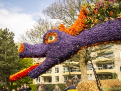 2017-Bloemencorso173