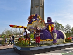 2018-Bloemencorso137