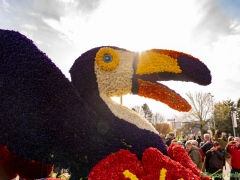 2019-Bloemencorso123