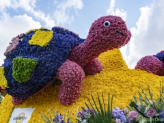 2019-Bloemencorso167