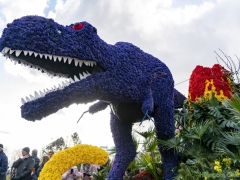 2019-Bloemencorso172