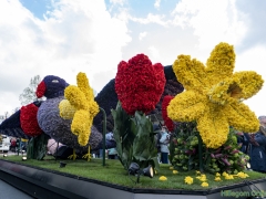 2019-Bloemencorso178