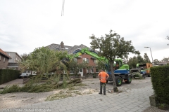 Corine-Zijerveld-Fotografiec2020_FCZ7440