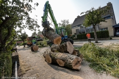 Corine-Zijerveld-Fotografiec2020_FCZ7546