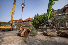 Corine-Zijerveld-Fotografiec2020_FCZ7581