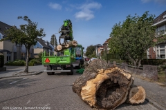 Corine-Zijerveld-Fotografiec2020_FCZ7619