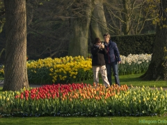 190407-Keukenhof-114