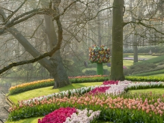 190407-Keukenhof-117