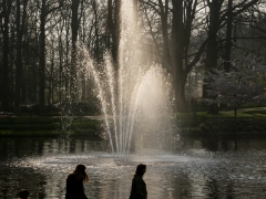 190407-Keukenhof-119