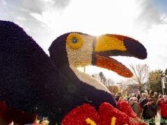 190413-Bloemencorso208