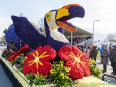 190413-Bloemencorso210